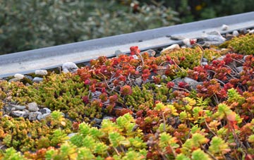 the cost of Moel Tryfan green roof installation