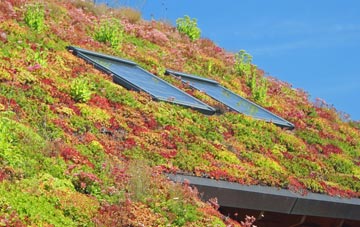 Moel Tryfan living roof systems