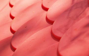 Moel Tryfan plastic roof costs