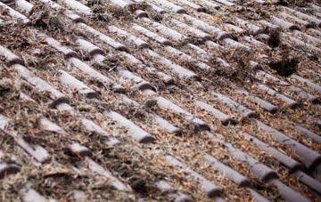 Moel Tryfan roof cleaning companies