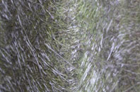 Moel Tryfan fibreglass roof work